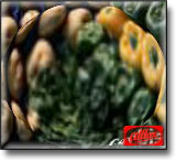 vegetables1.jpg (7194 bytes)